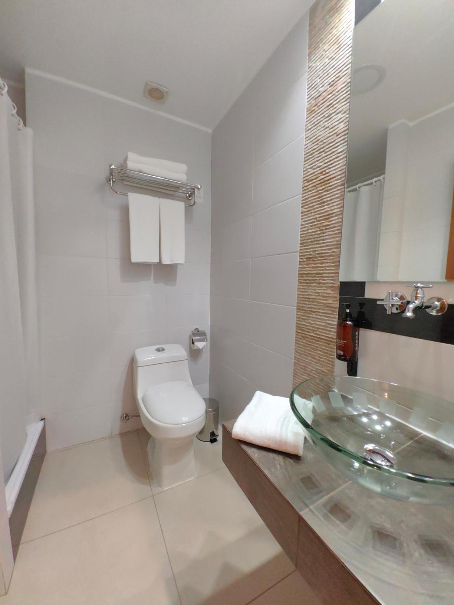 Concha Y Toro 33 Hotel Boutique By Nobile Santiago Ngoại thất bức ảnh